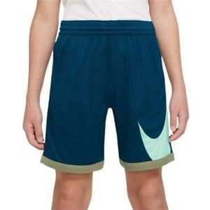 Nike Boys XL Blue and Green Shorts